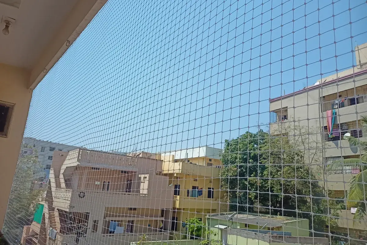 Bird Net installation in Begumpet