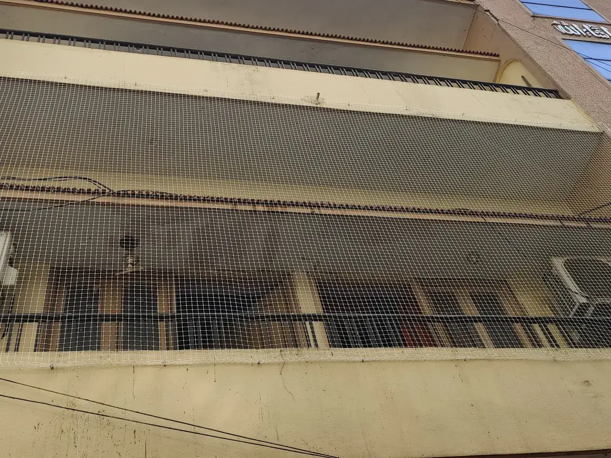Bird Net installation for an LB Nagar apartment