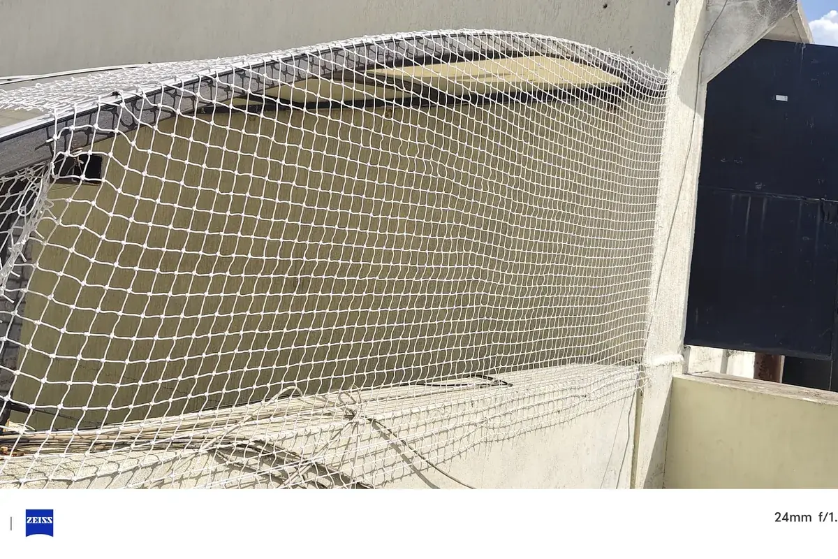 Bird Net Installation in Madhapur