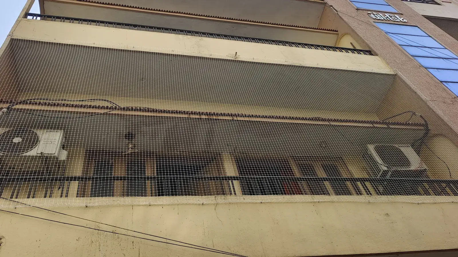 Bird Nets in Tolichowki residential open area
